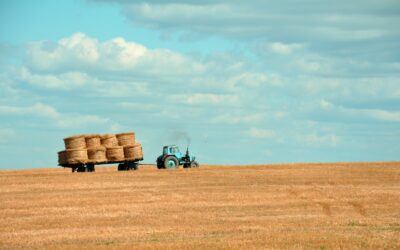 tracteur, champs, seconde main