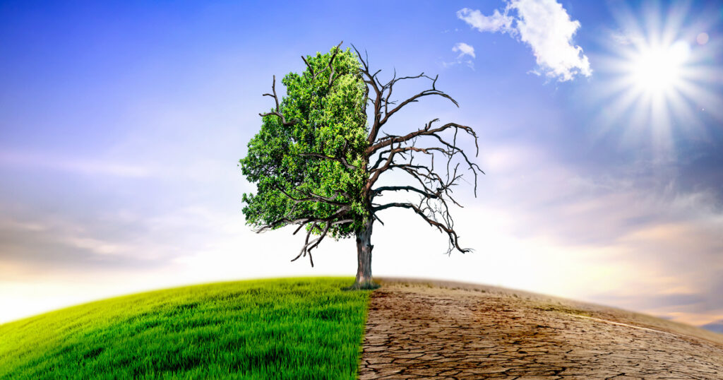 maraîchage changement climatique
