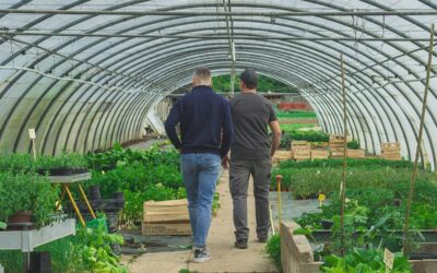 maraîchage français