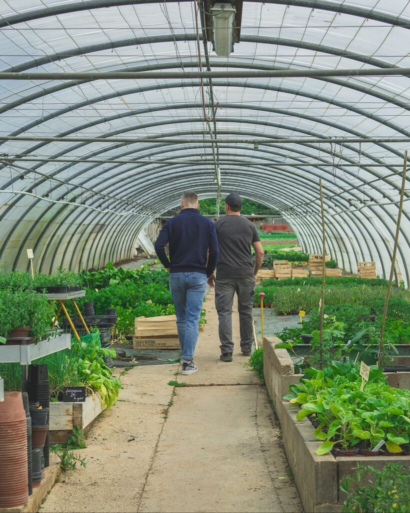 maraîchage français