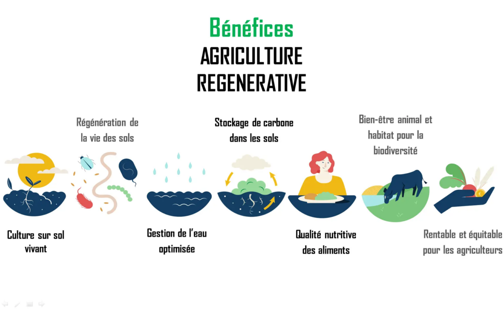 L’agriculture régénératrice
